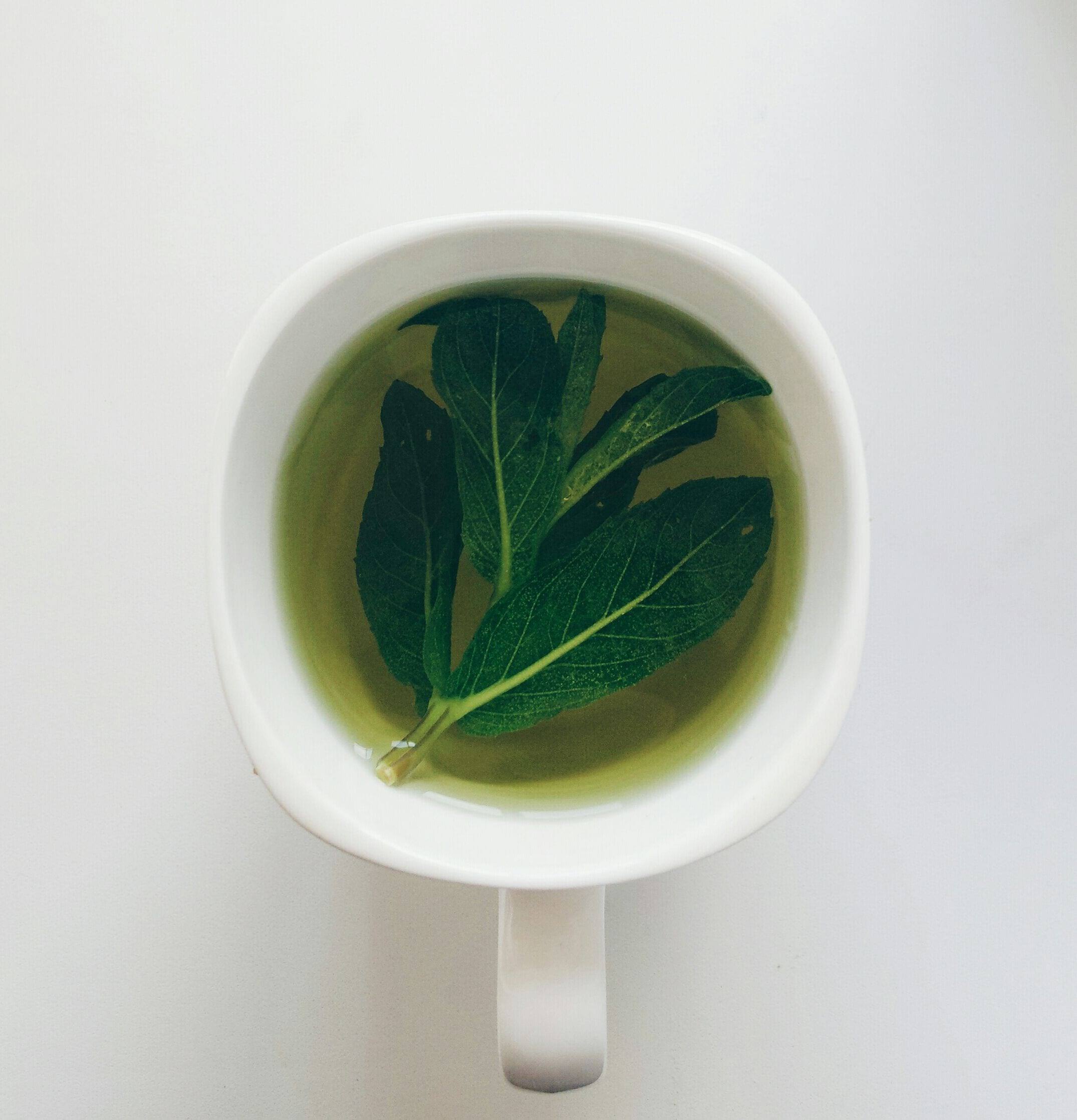 Weiße Tasse mit hellem Kräutertee und frischen Blättern